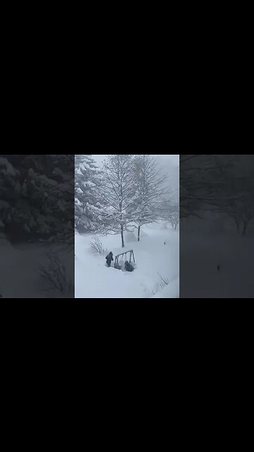 Snowfall is not a hindrance to entertainment