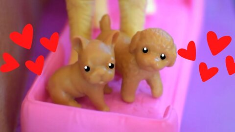 PUPPIES and Owies -RADollz-