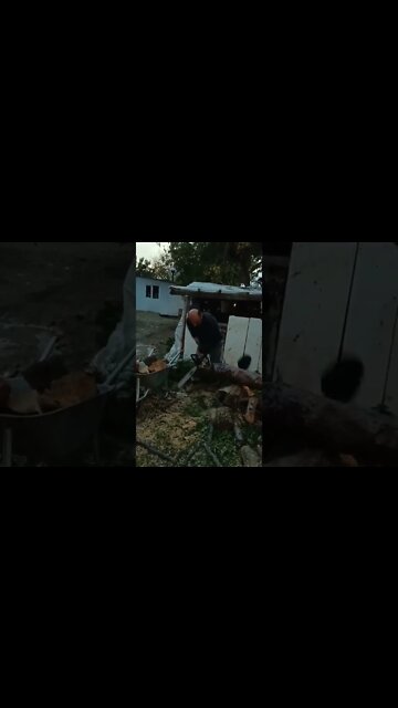 видео приколы,лучшие приколы,лучшие приколы тик ток,лютые приколы,новые приколы,новые приколы 2022