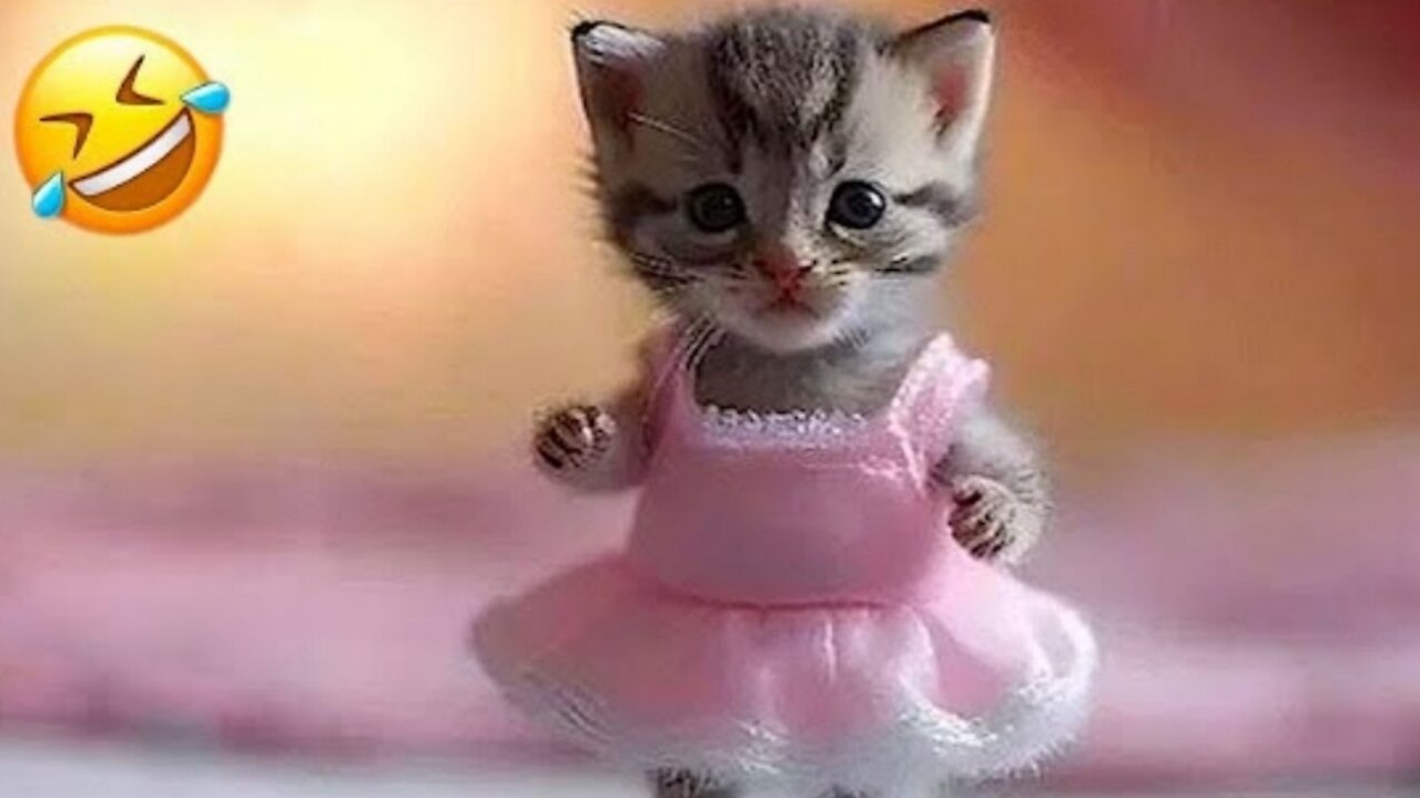 New Funny Animals 2023 ππ Funniest Cats and Dogs Videos πΆπ»