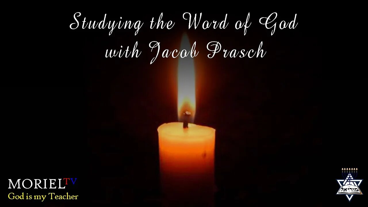 Little Boy Who Loved Models