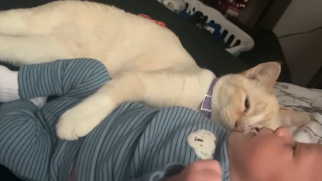 The cat is loving the baby like a mother