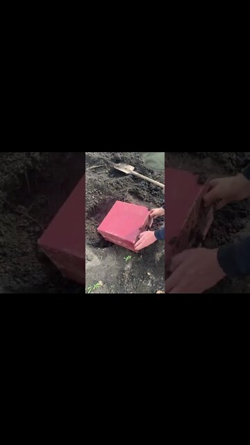 #shorts #2022 funny,prank,funjokes,dad jokes,funny memes,funny video,fun,laughing,funny animal,knock