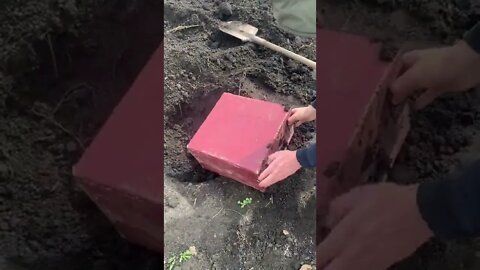 #shorts #2022 funny,prank,funjokes,dad jokes,funny memes,funny video,fun,laughing,funny animal,knock