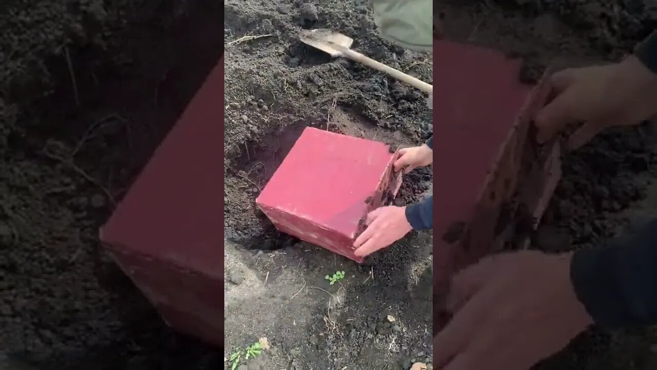 #shorts #2022 funny,prank,funjokes,dad jokes,funny memes,funny video,fun,laughing,funny animal,knock