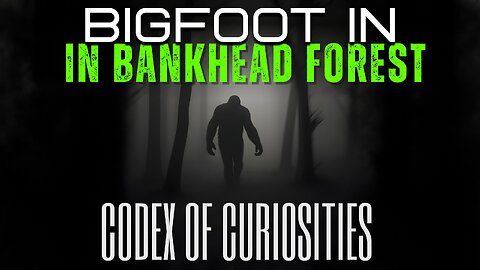 Bigfoot Sighting in Alabama: Derin Franks’ Surprising Sasquatch Experience in Bankhead Forest