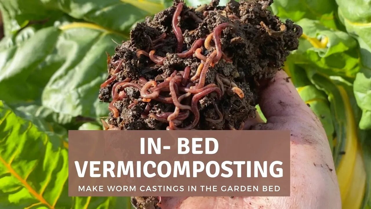 IN - BED VERMICOMPOSTING: Make castings and compost directly in your garden bed