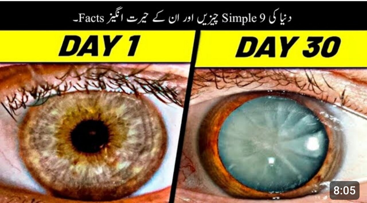 9 Amazing Facts You Don't Know 5 Minutes Ago | دنیا کی حیرت انگیز چیزیں |