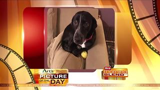 Art's Cameras Plus Picture of the Day for July 4!