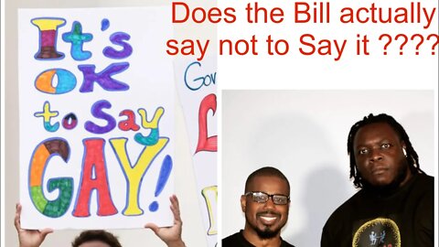 Don't Say Gay Bill! What is it really about?