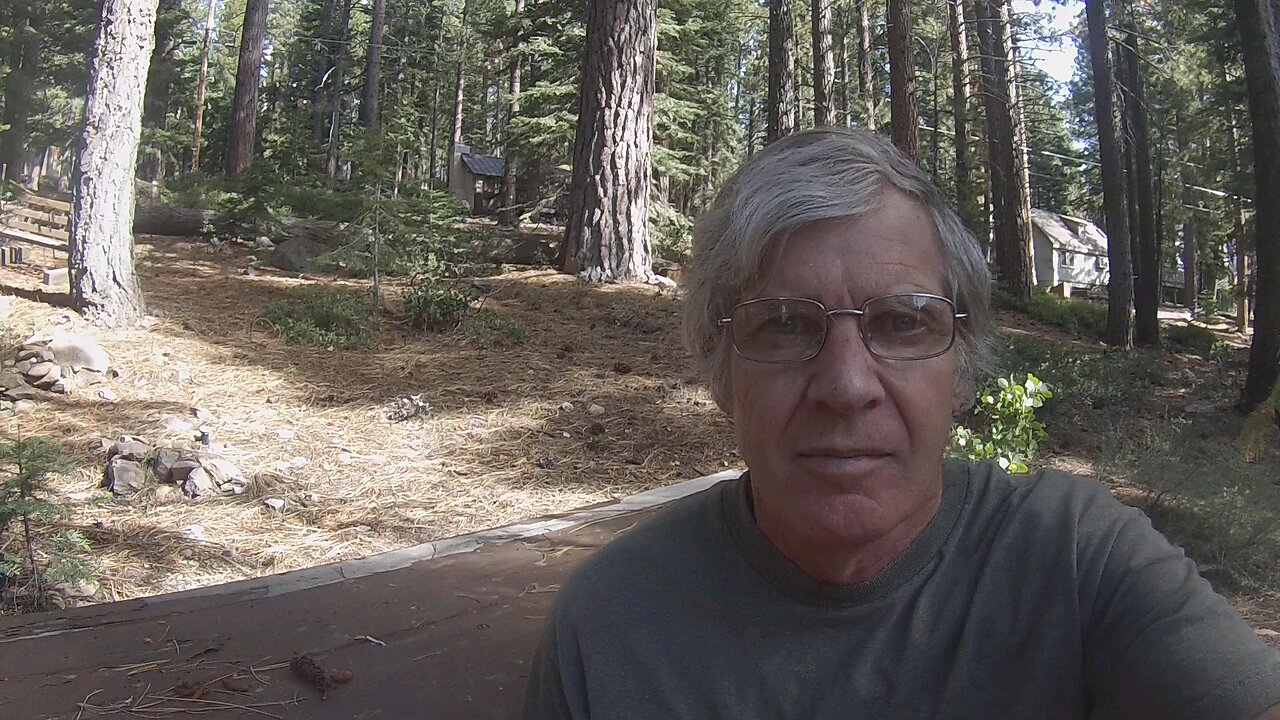 "The ME/CFS Hijacker Syndrome. The Real Reason "Chronic Fatigue Syndrome" is unresolved" by Erik Johnson