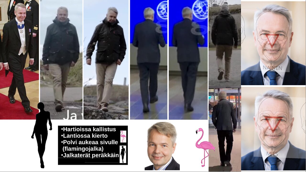 transagenda: Pekka Haavisto Vihr.