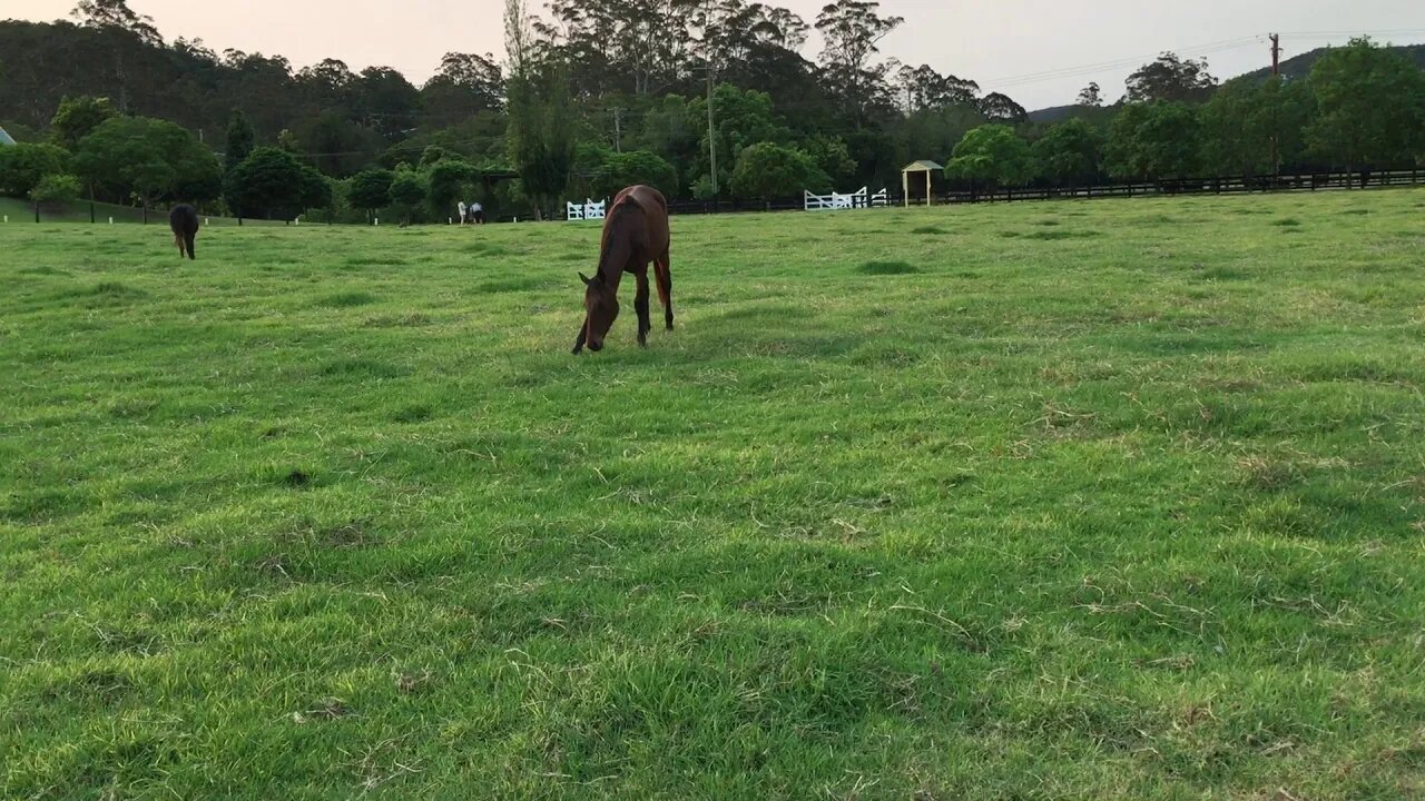 Penny and Dyani's first night at Wyong Creek