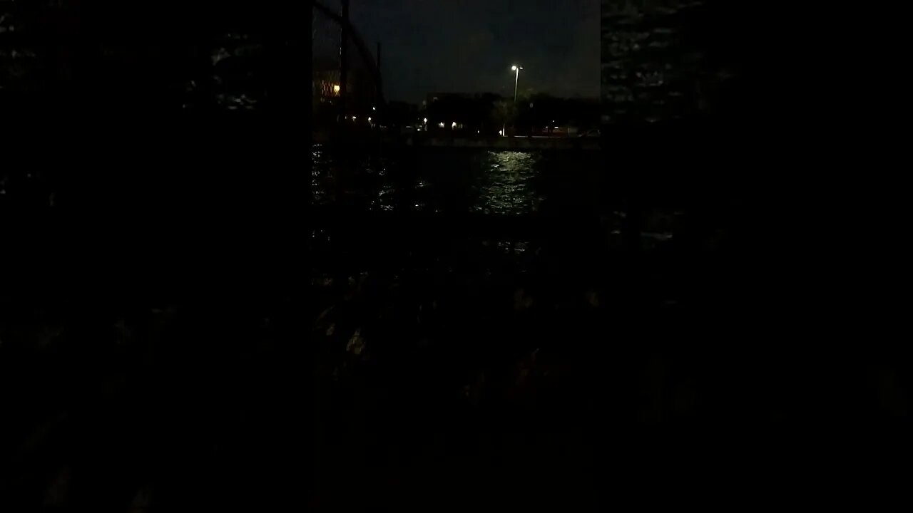 Gang Stalking perp-vert