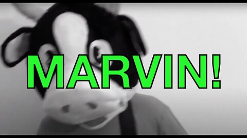 Happy Birthday MARVIN! - COW Happy Birthday Song