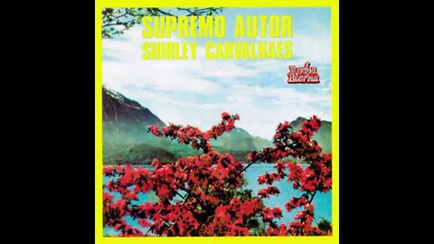 Shirley Carvalhaes lutar e vencer play back