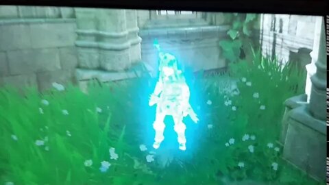 I got Breath of the wild's DLC three years later God Bless You All. Amen.