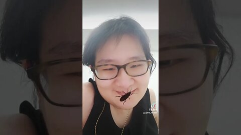 insect in nose filter