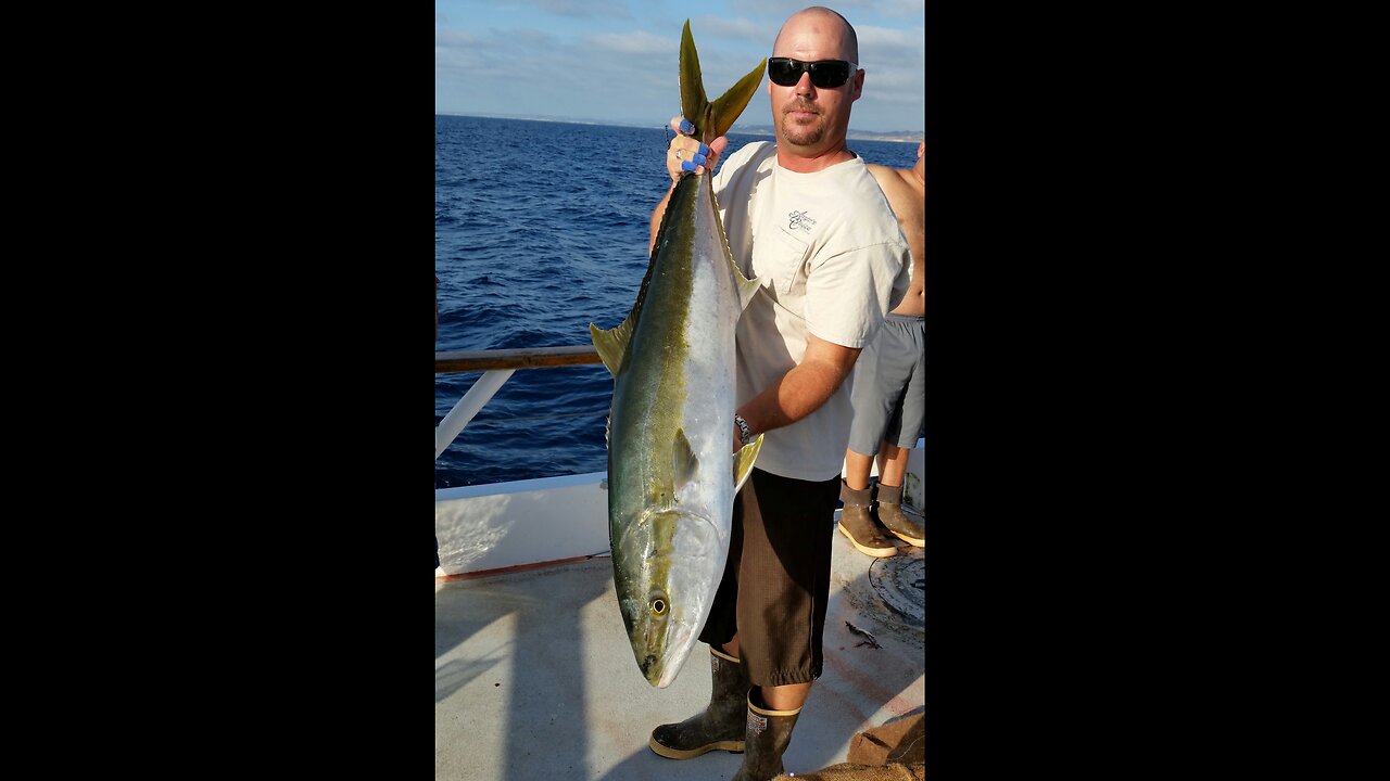 (8) 10/14/2014 - 29 pound Yellowtail taken aboard the New Seaforth.