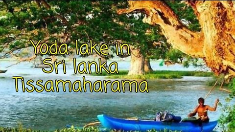 Sri lankan lake and Human activity