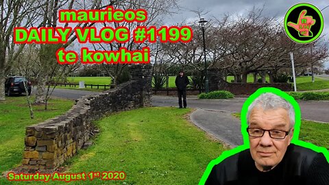 maurieos DAILY VLOG #1199 te kowhai