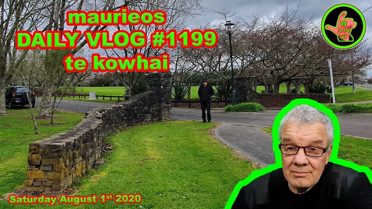 maurieos DAILY VLOG #1199 te kowhai