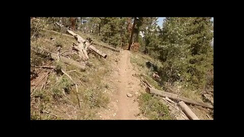 Gunnison National Forest - Quakey Mtn #537