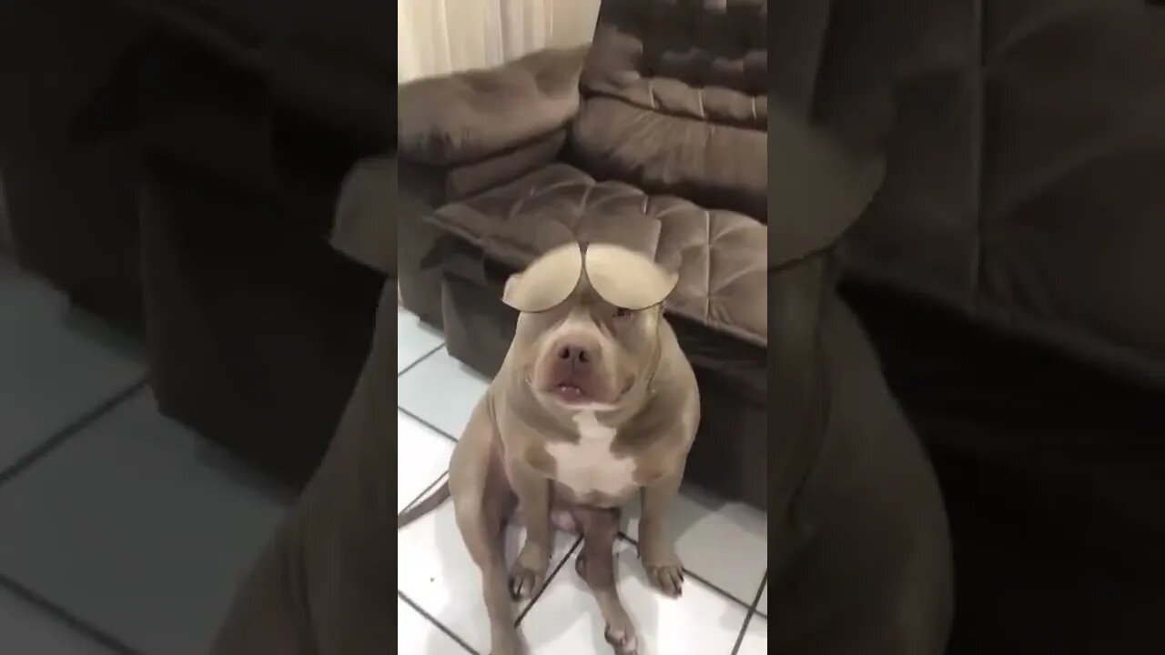 A gifted Clairvoyant , want to know your future ? , # short