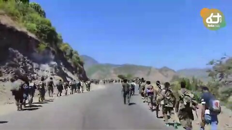 ሰበር : በዛሬው ዕለት ፋኖ እና ሌሎች ጥምር ሀይሎች በሁሉም የጦር ግንባሮች የመጨረሻውን ትግል አድርጎ አሸባሪውን እየቀበረ ይገኛል