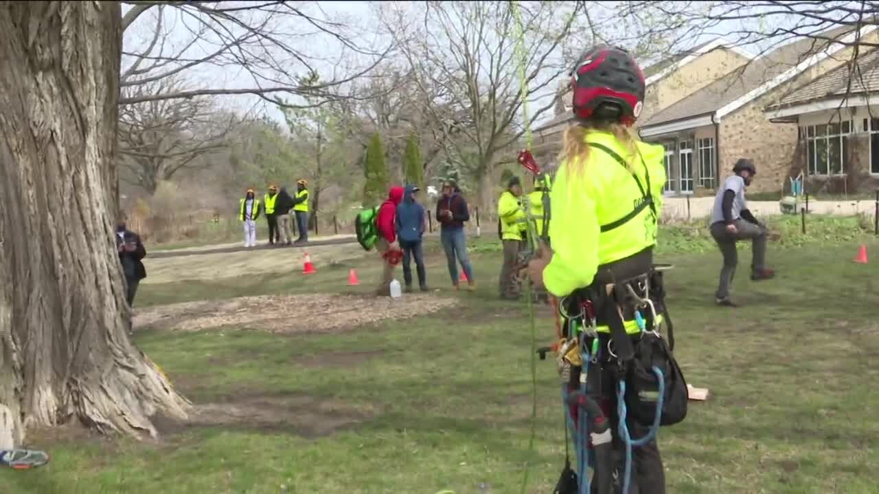 Arbor Day shines a light on job opportunities, apprenticeship programs in Wisconsin