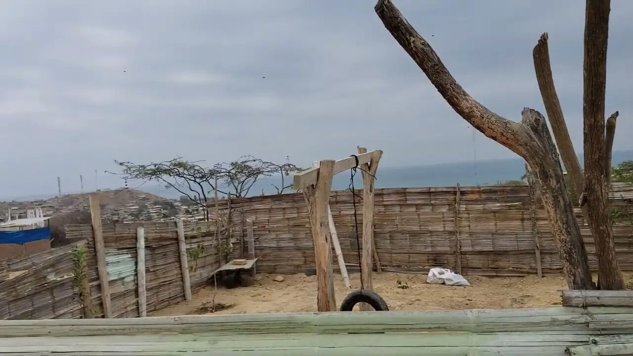 Huerta del Eden - Zorritos - Tumbes - Perú