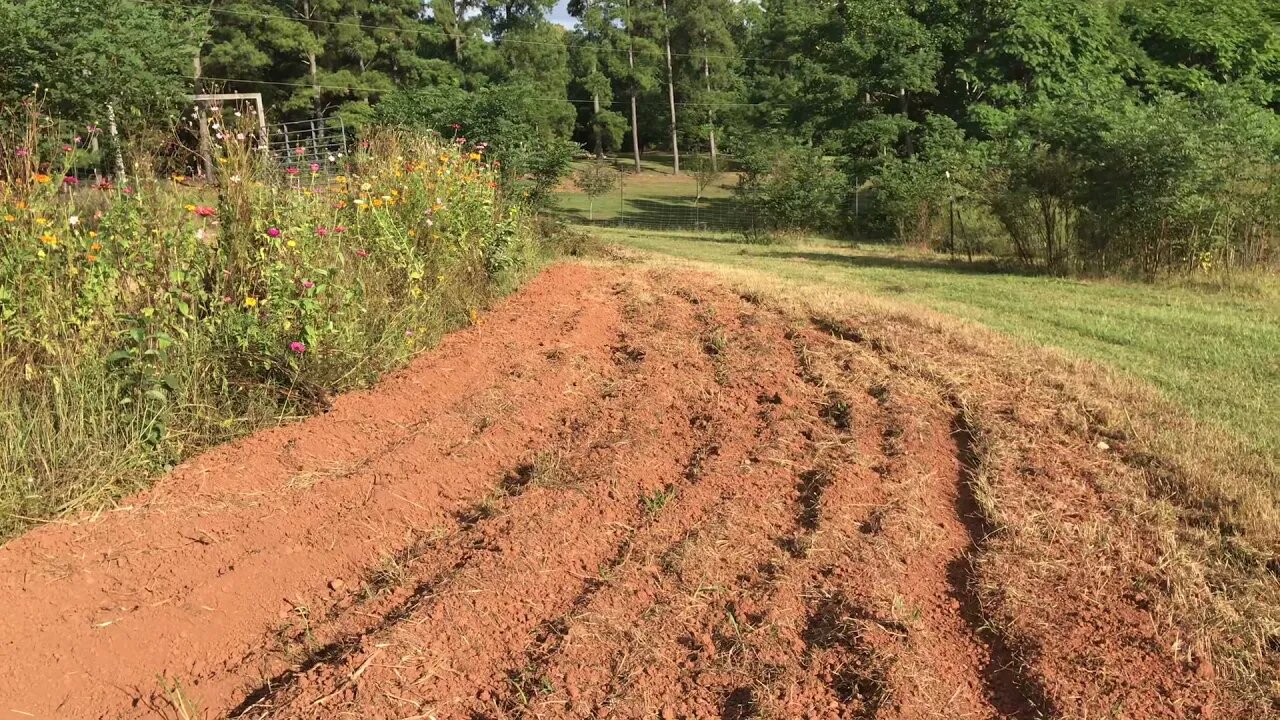 Summer Ends, Now Fall Garden Preparation for Soil Health