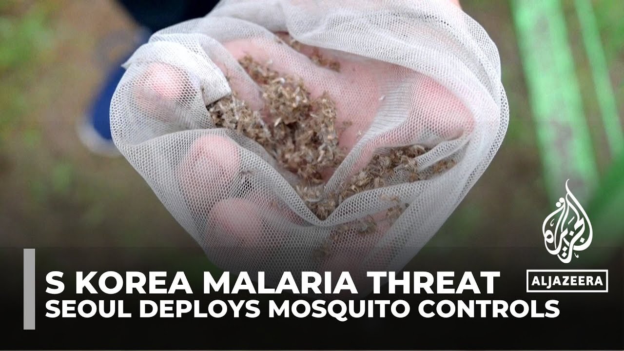 South Korea malaria threat: Seoul deploys devices to stem the spread of mosquitoes