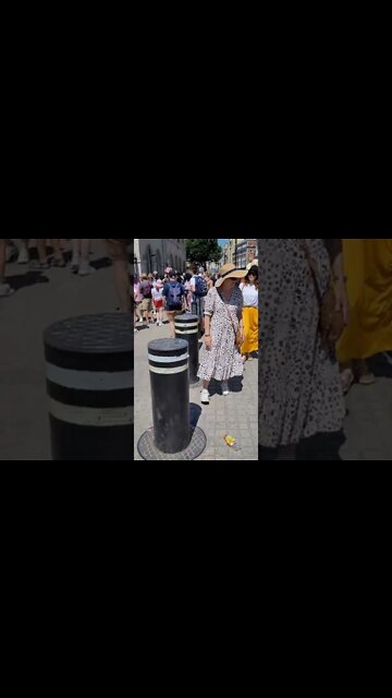royal car leaves #horseguardsparade