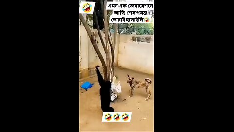 animal fan😁😁😁😁