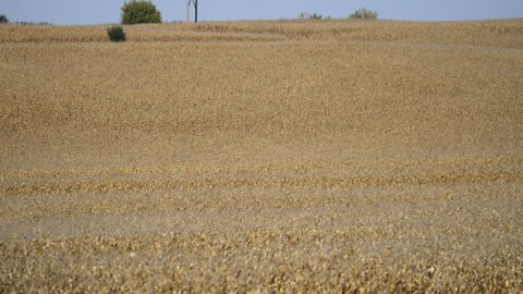 Why Is China Buying Up U.S. Farmland?