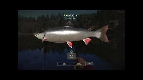 Russian Fishing 4 Kuori lake Arctic Char 2.432 Kg