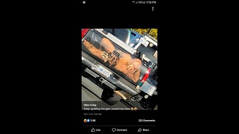 Snow might be here to stay✌😎🤙