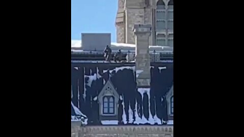 Batty boy puts snipers on roofs.