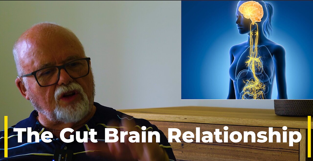 The Gut Brain Relationship