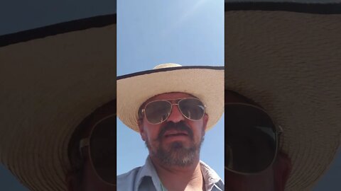 The Ballad of Jamie Jo