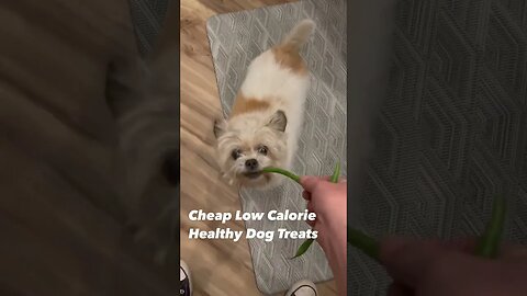 Cheap healthy low calorie dog treats #ilovemydog