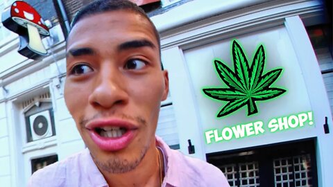 I Took a TRIP to Amsterdam...