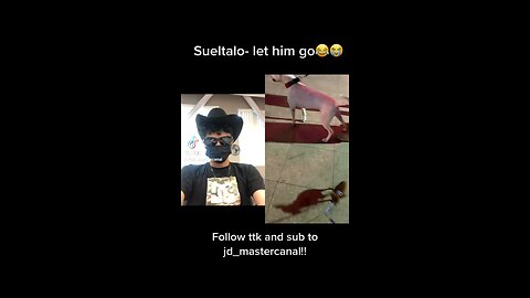 Let him run it😭😂