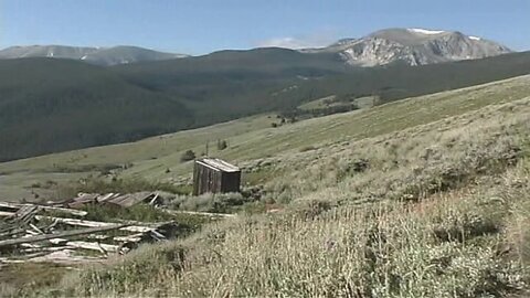 PRIMITIVE SURVIVAL, Sufficiency Though Simplicity, or The Art of Nothing