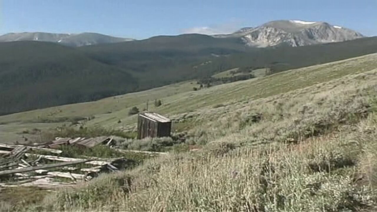 PRIMITIVE SURVIVAL, Sufficiency Though Simplicity, or The Art of Nothing