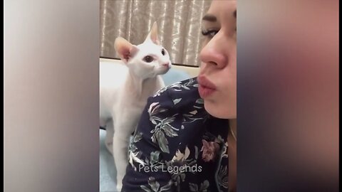 Funny Activities Of Pets😂 | Giggle Zoo Nonstop