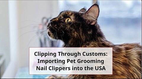 Bringing Pet Grooming Nail Clippers into the United States