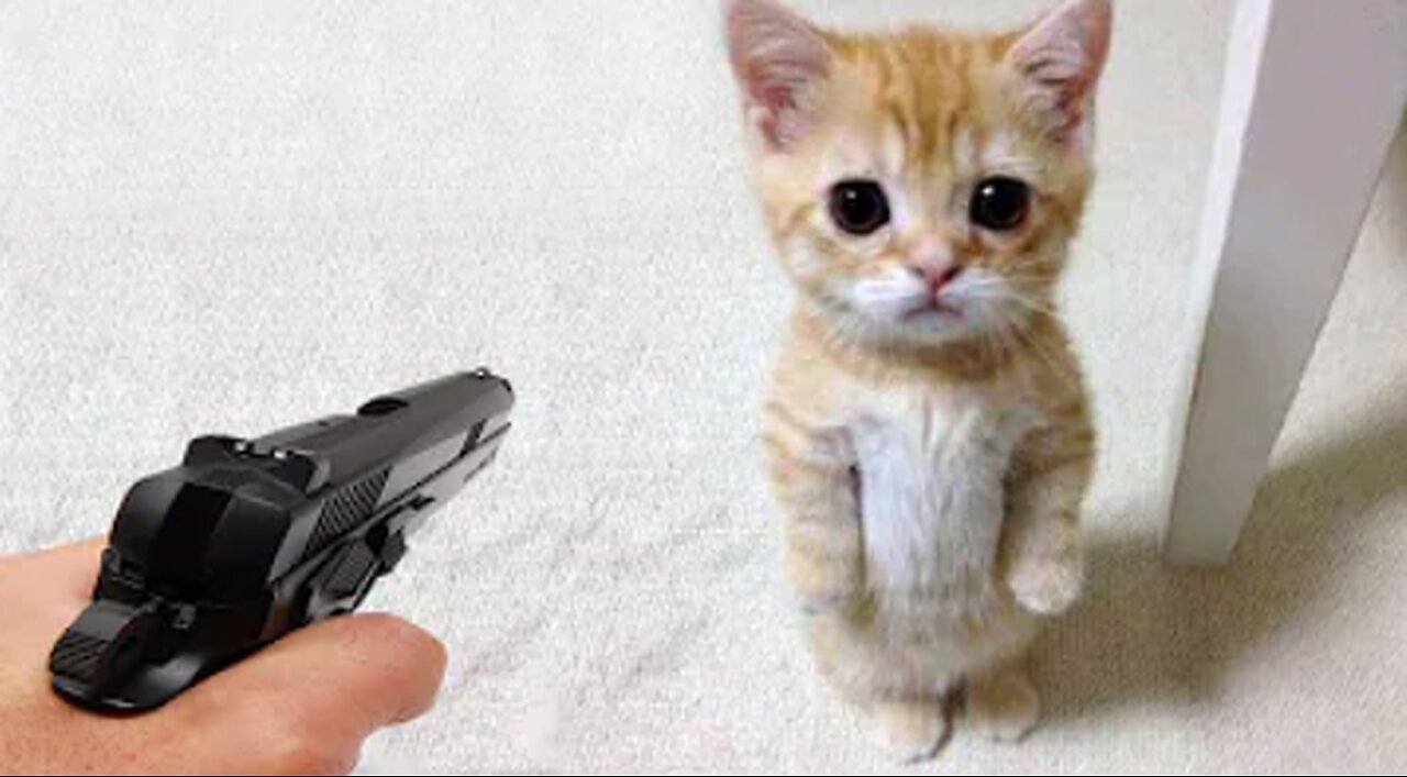 Funniest Animals 2023 π Funny Dogs and Cats Videos πΊπΆ