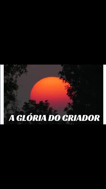 A GLÓRIA DO CRIADOR.#shorts